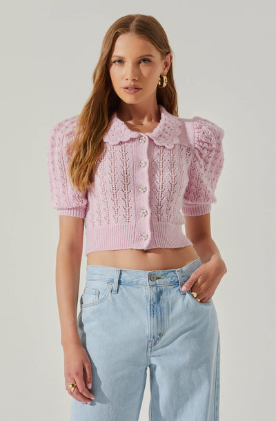 Dallyn Pointelle Collared Short Sleeve Sweater