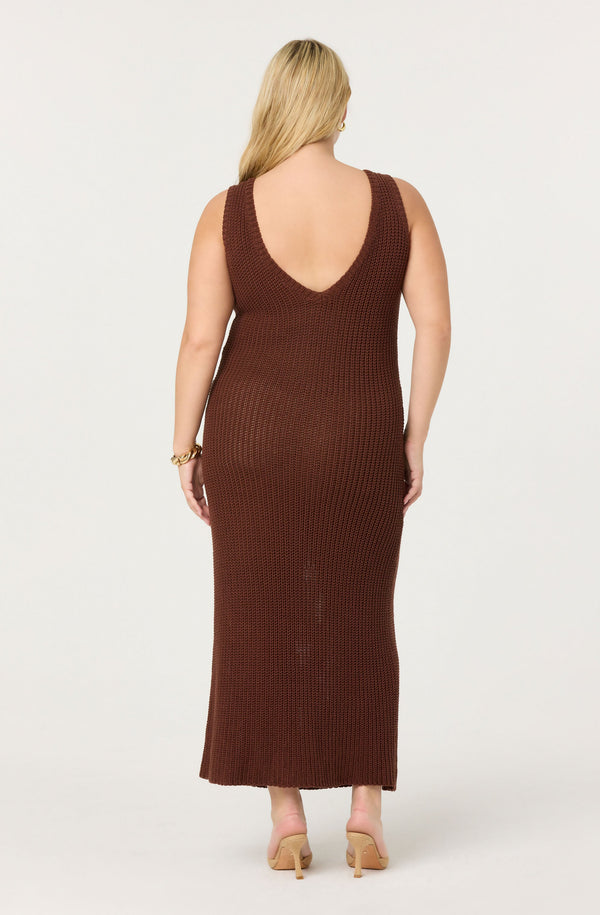 ASTR the Label | Ainhoa 3D Floral Maxi Sweater Dress in Plus Size - Brown