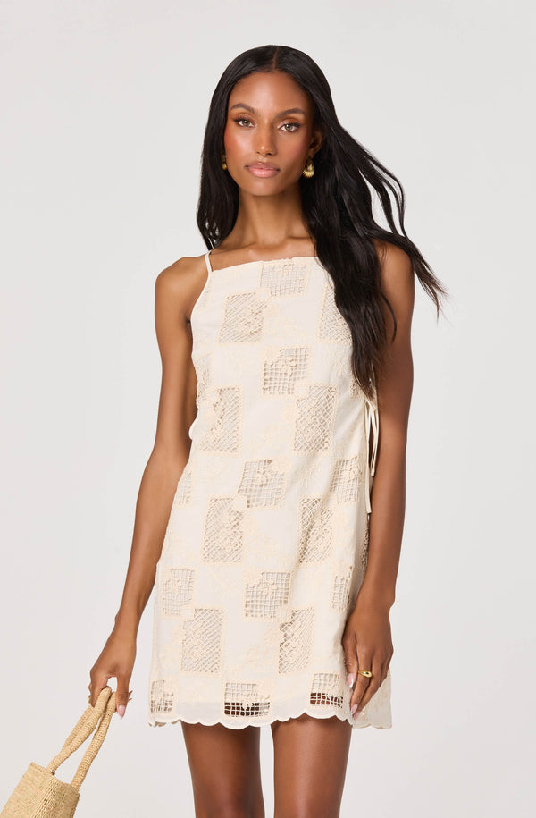 Samira Embroidered Eyelet Mini Dress - ASTR the Label