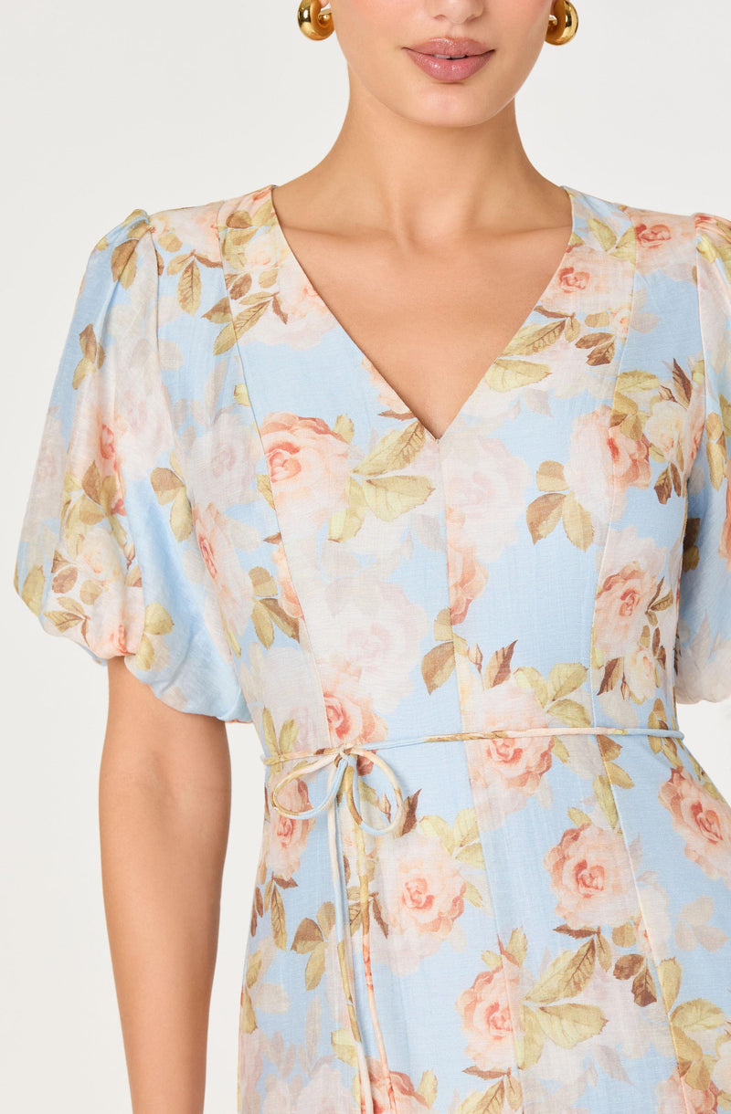 Light blue floral dress with puffed sleeves and a tie waist.
