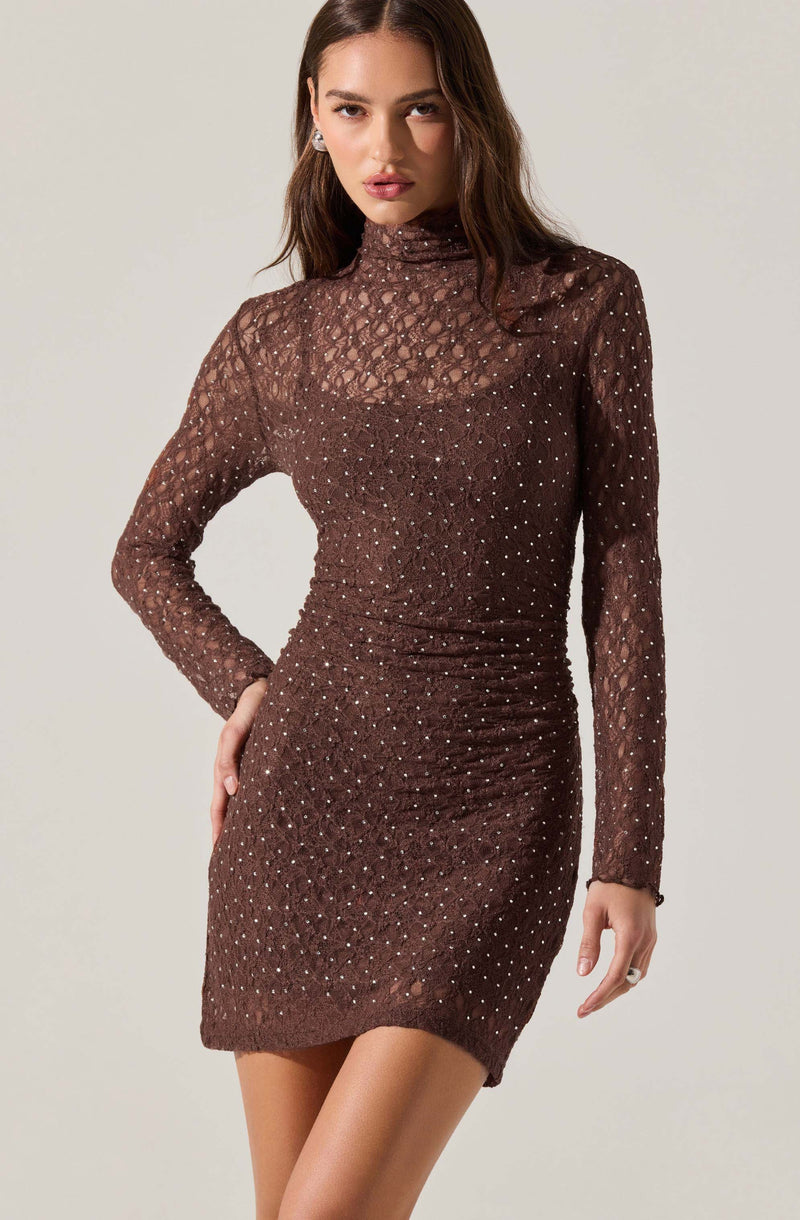 A woman is wearing a fitted, long-sleeved dress with a high neckline. The dress is made of a sheer, textured fabric in a dark brown color and features small, sparkling embellishments scattered throughout.