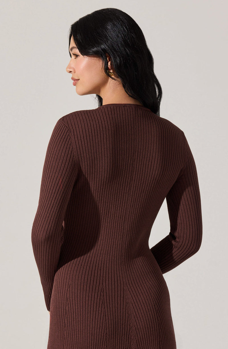 A woman with long, dark hair is wearing a fitted, long-sleeved, ribbed sweater dress in a deep brown color. The dress has a high neckline and vertical ribbing that runs throughout the fabric.