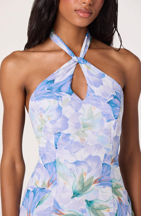 floral halter top dress Bethina Floral Halter High-Low Dress