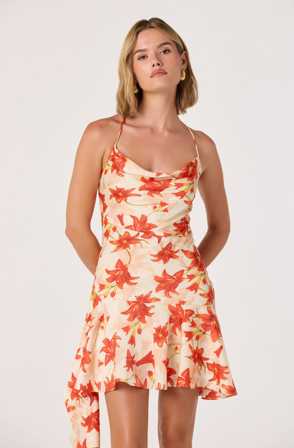 Paloma Cowl Neck Asymmetric Mini Dress