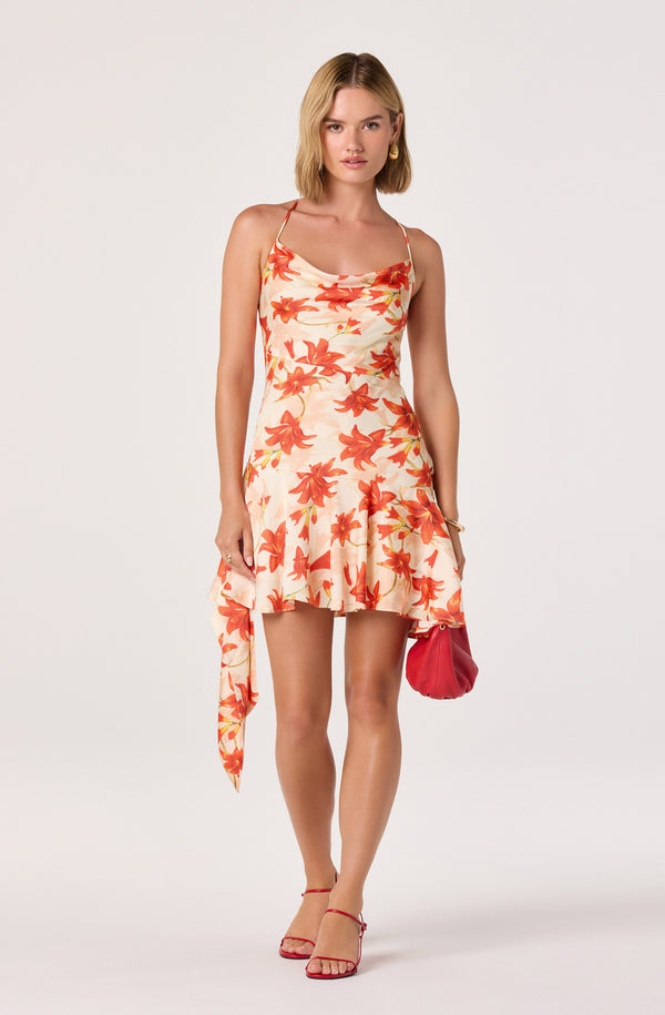 Paloma Cowl Neck Asymmetric Mini Dress Paloma Cowl Neck Asymmetric Mini Dress
