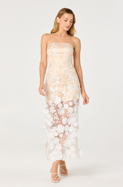 Tanisha Embroidered Floral Strapless Maxi Dress - ASTR the Label Tanisha Embroidered Floral Strapless Maxi Dress - ASTR the Label