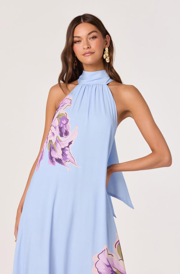 Nesta Halter Maxi Dress - ASTR the Label