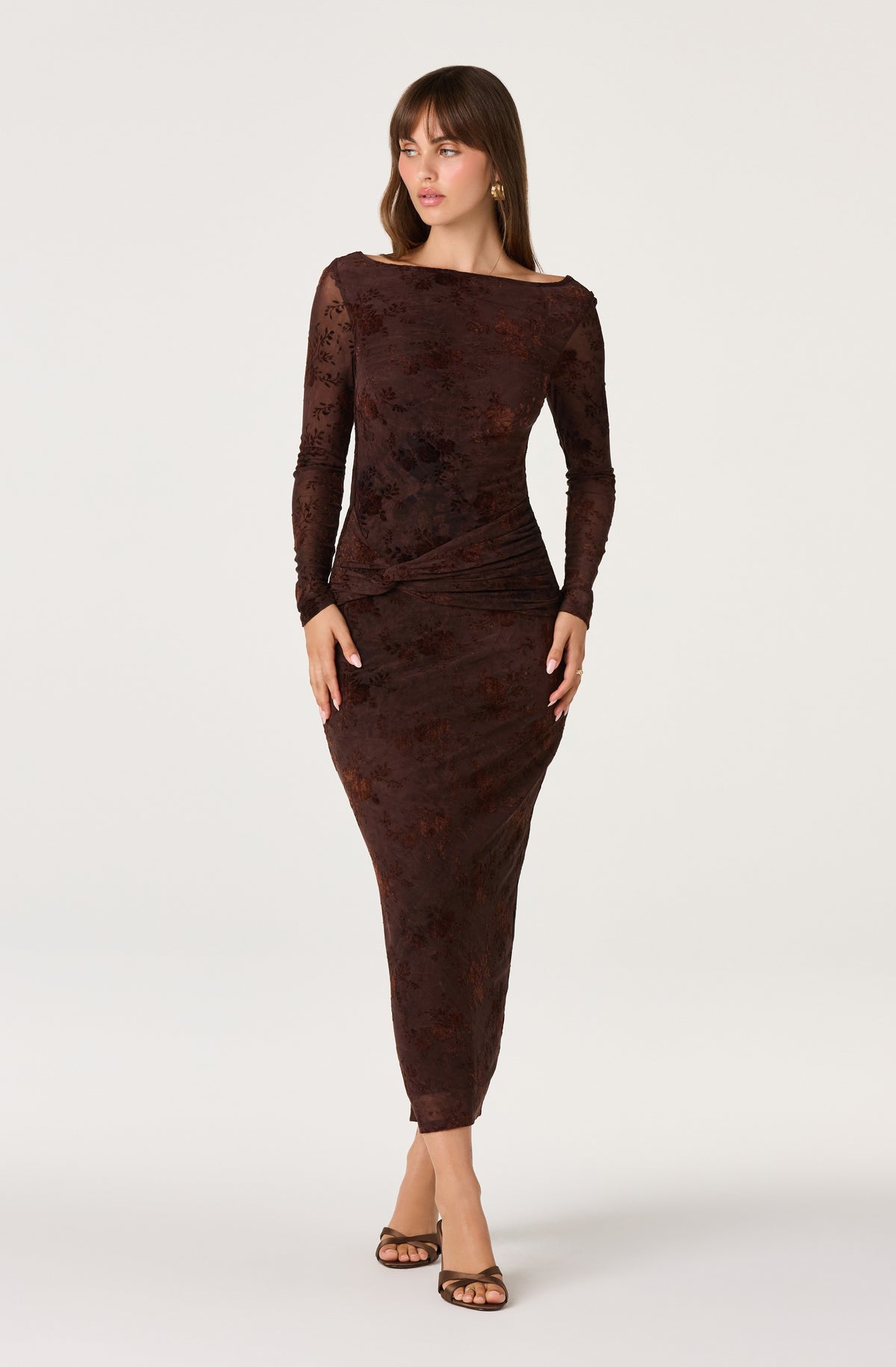 Syriah Burnout Floral Mesh Dress