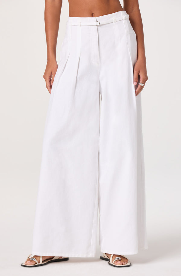 Aiden Pleated Wide-Leg Pants - ASTR the Label