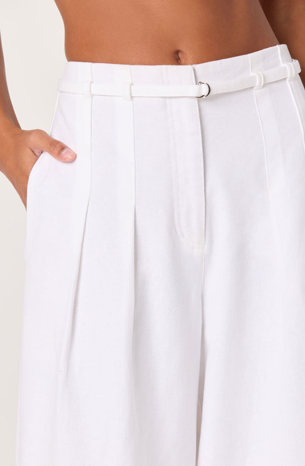Aiden Pleated Wide-Leg Pants - ASTR the Label