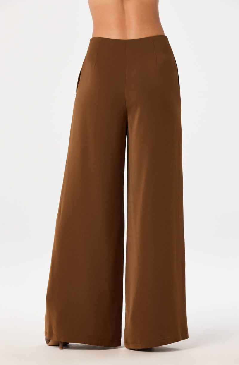 High-waisted brown wide-leg pants with a smooth, shiny fabric.