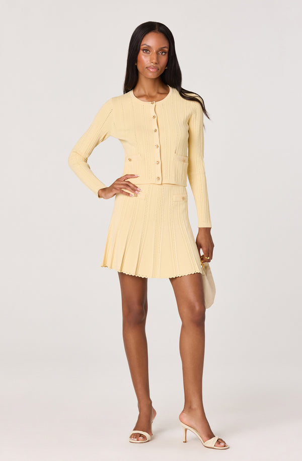 Tehya Pointelle Knit Pleated Skirt - ASTR the Label