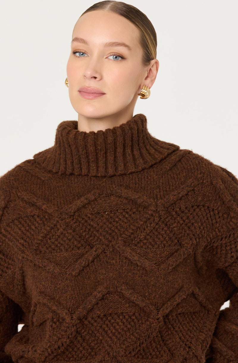 A woman is wearing a chunky, brown, cable-knit turtleneck sweater with a raised collar and textured diamond and braid patterns. She has gold hoop earrings and her hair is slicked back.
