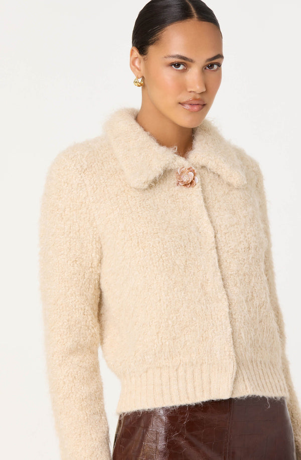 Karime Fuzzy Collared Cardigan - ASTR the Label