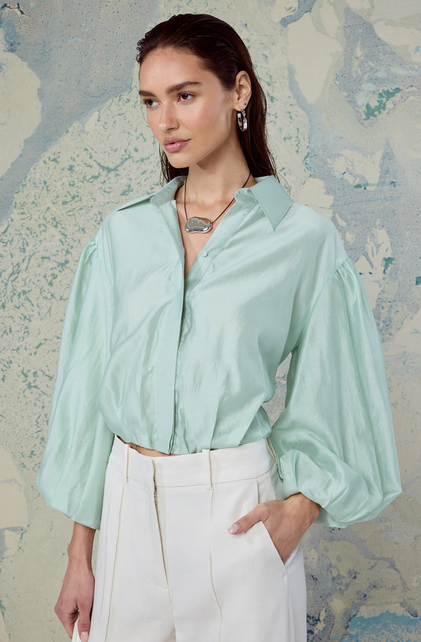 Cordey Collared Balloon Sleeve Poet Top - ASTR the Label
