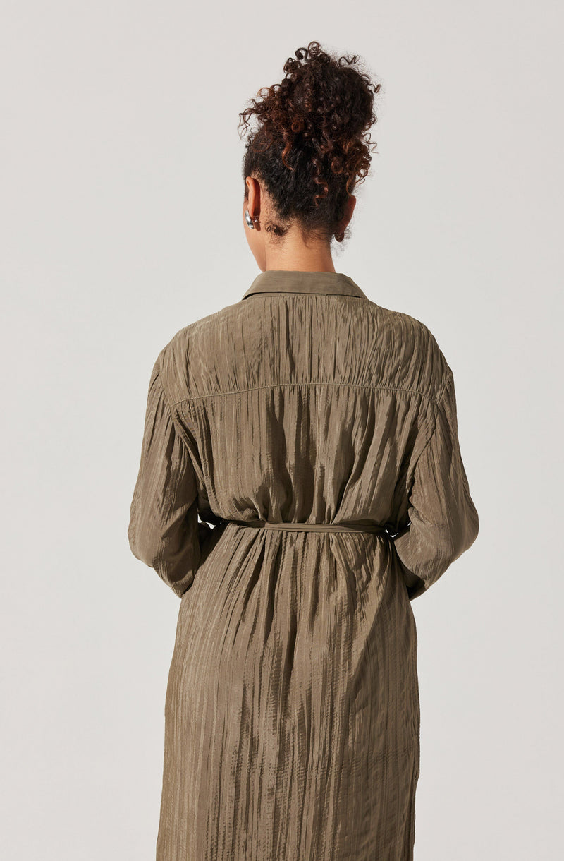 The person is wearing a long, taupe-colored dress with a pleated, textured fabric. The dress has a collar and long sleeves, with a gathered waistline. The back view reveals that the dress is loose-fitting and cinched at the waist.