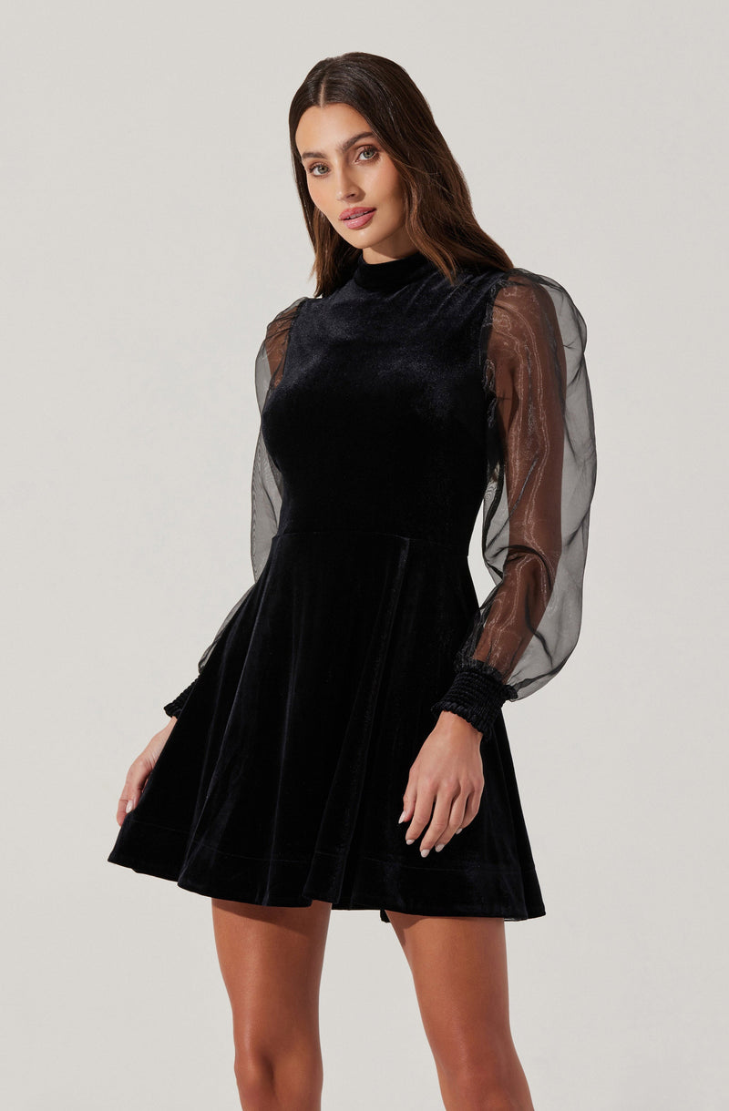 A woman is wearing a black velvet dress with sheer, long puffy sleeves. The dress has a high neckline and a fitted bodice, flowing into a flared skirt. The sheer sleeves are slightly puffed at the shoulders and have gathered cuffs.