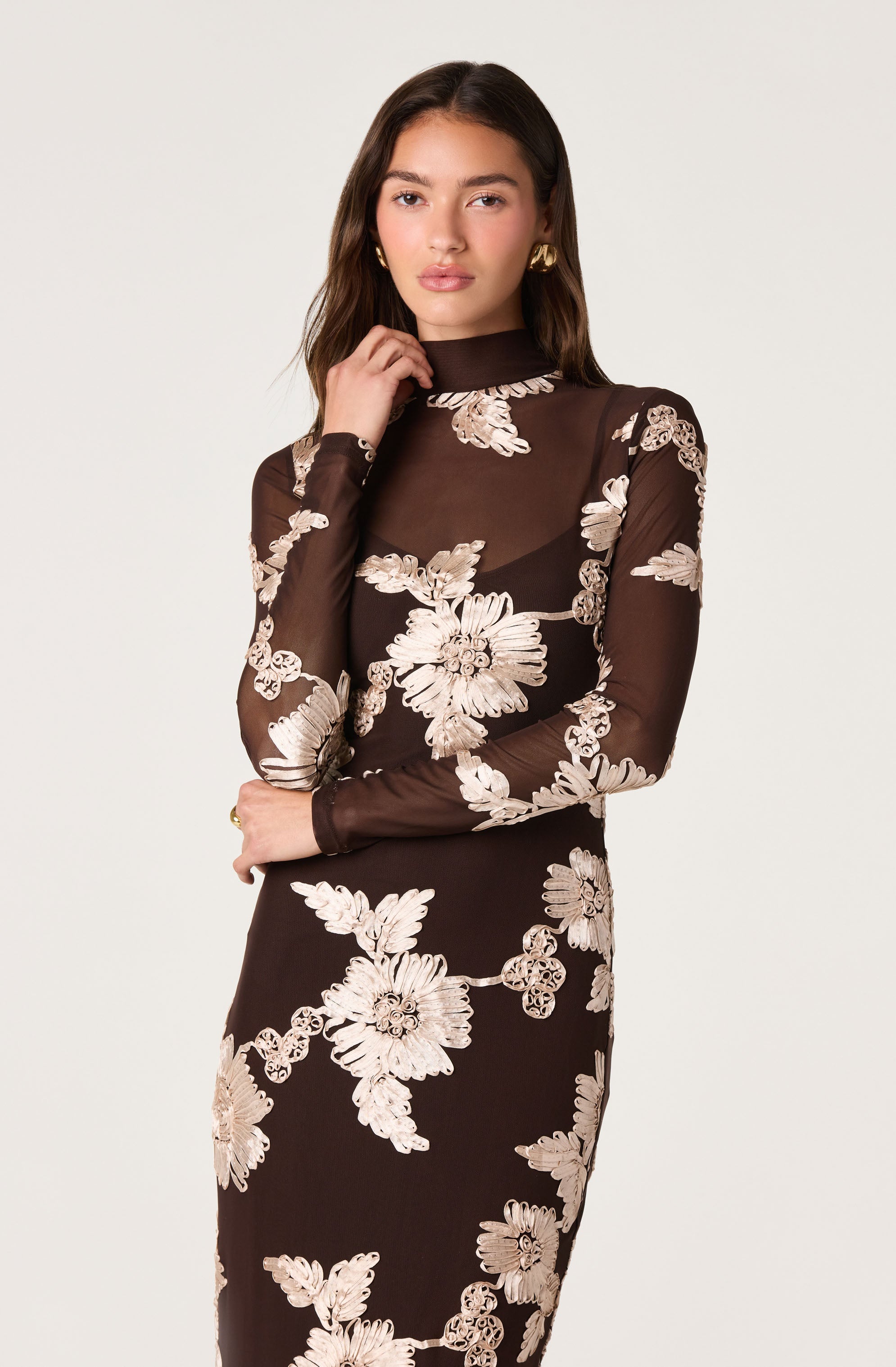 Florentine Embroidered Mesh Midi Dress thumbnail 2