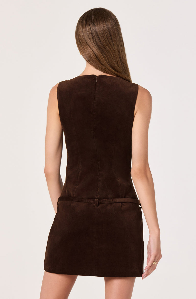 Back view of a woman wearing a sleeveless, fitted dress made of dark brown suede-like fabric. The dress has a high neckline, a center back zipper, and a seam running down the middle of the back. The skirt portion is slightly flared with a horizontal seam at the waist.