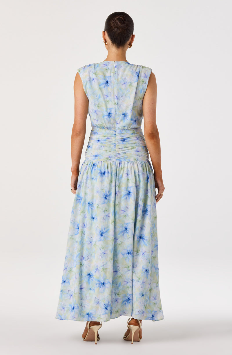 Sleeveless dress with a blue and green floral pattern, fitted waist, and flowing floor-length skirt.
