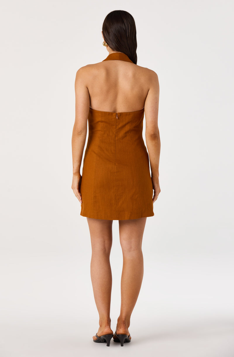 Back view of a woman wearing a sleeveless, high-neck, rust-colored mini dress with a zipper.
