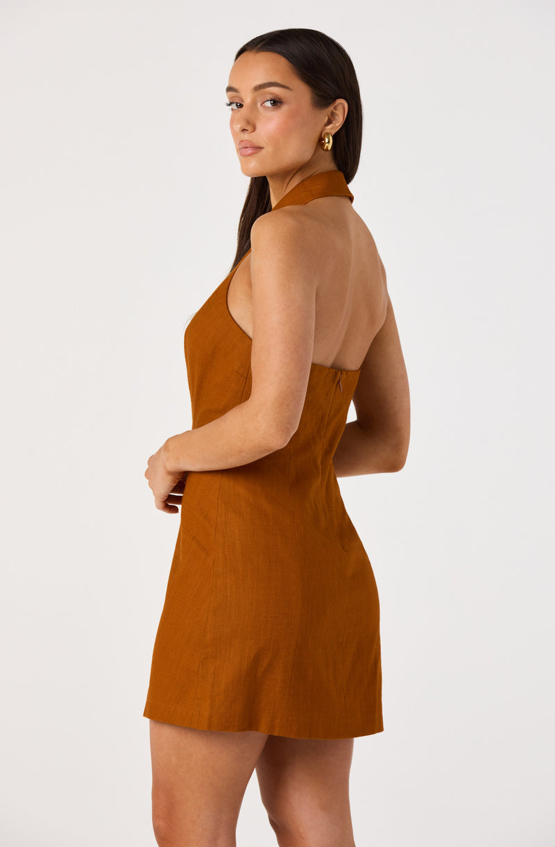 Woman wearing a sleeveless, rust-colored dress with a high collar and back zipper.