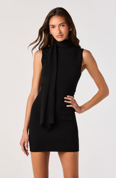 Annie Scarf Sweater Mini Dress