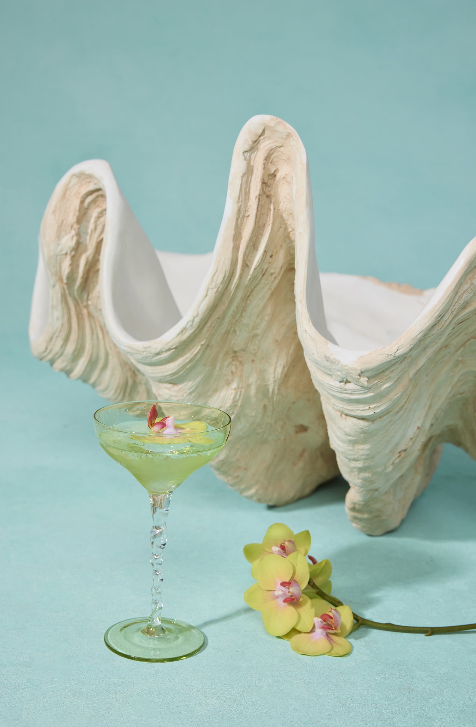 Large white seashell with textured ridges, a green cocktail glass with a pink flower, and yellow orchids on a turquoise background.