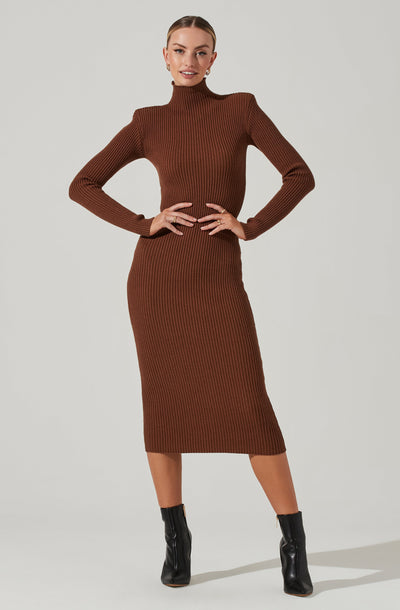 Abilene Long Sleeve Turtleneck Midi Sweater Dress