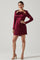 Carina Satin Chain Link Long Sleeve Mini Dress